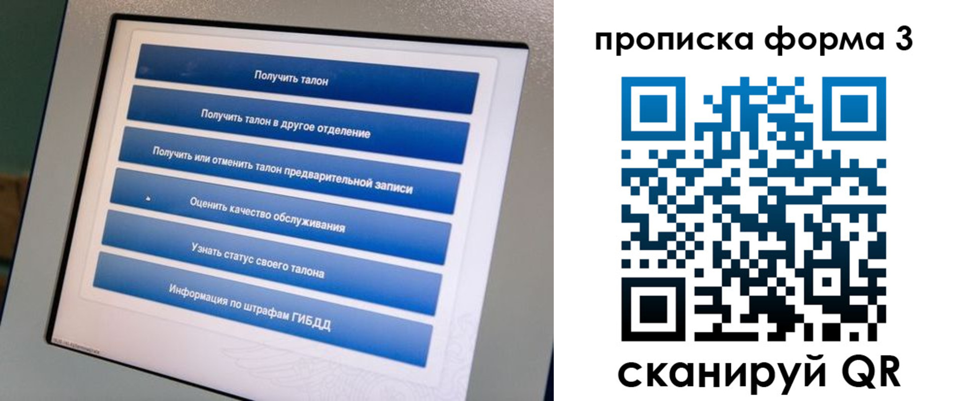 прописка в квартире в Бикине